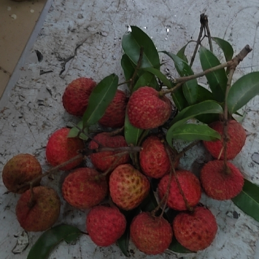 东莞市糯米糍荔枝