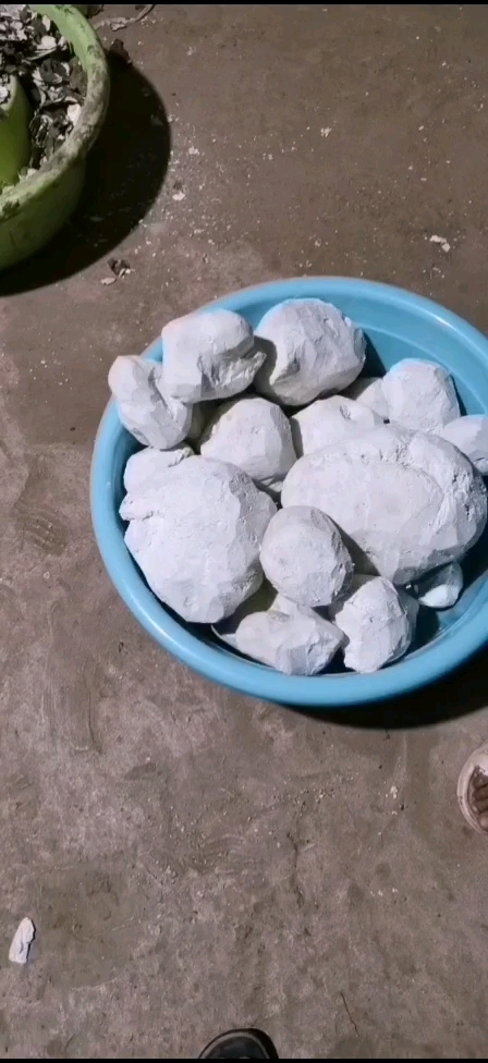 楚雄市云南鲜茯苓纯手工加工白块，白砣，然天然自然晾晒无硫全干