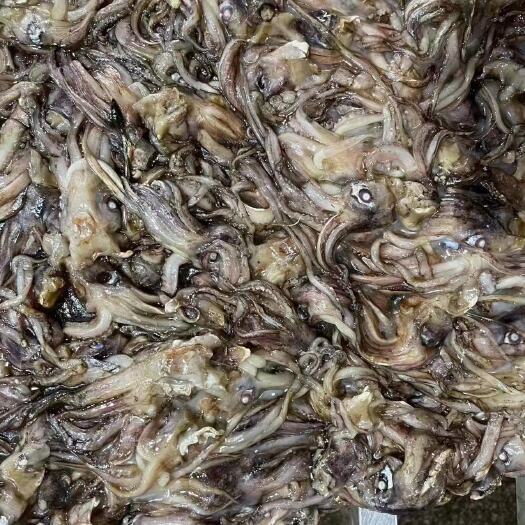 北海鱿鱼须和头