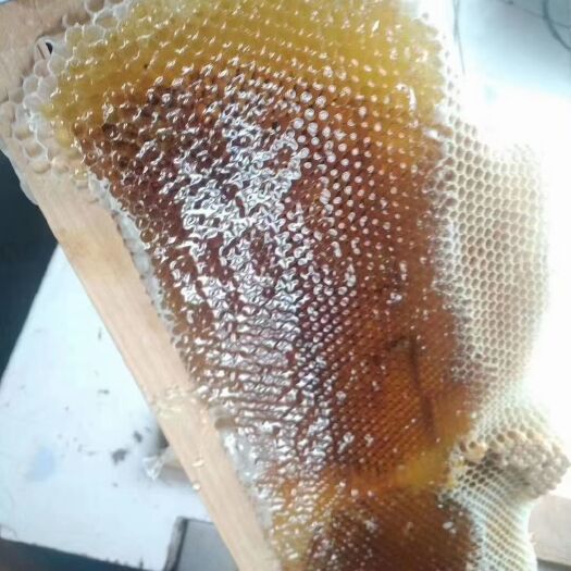梧州农家百花春蜜