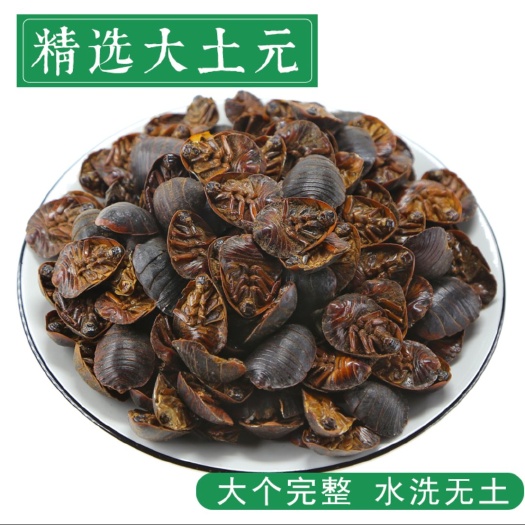 亳州土元 地鳖虫  干净土元 量大从优地道中药材 闪电发货