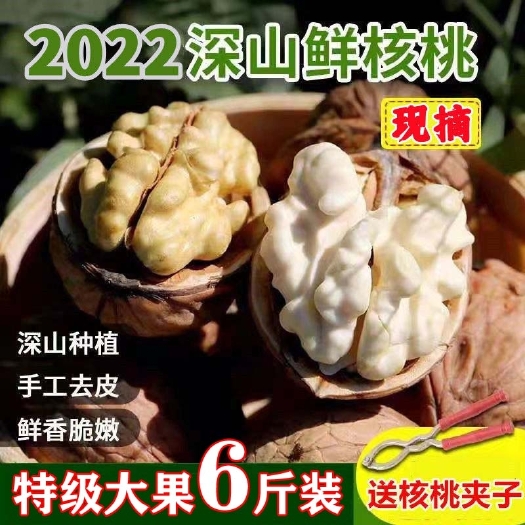 德昌县2022新鲜核桃青皮核桃，剥壳新鲜核桃湿核桃承接一件代发