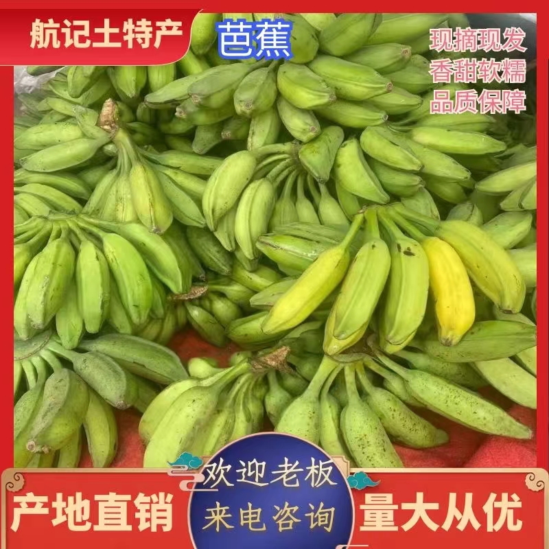阳江芭蕉——乡下自种不涩口更甜更好吃！！！