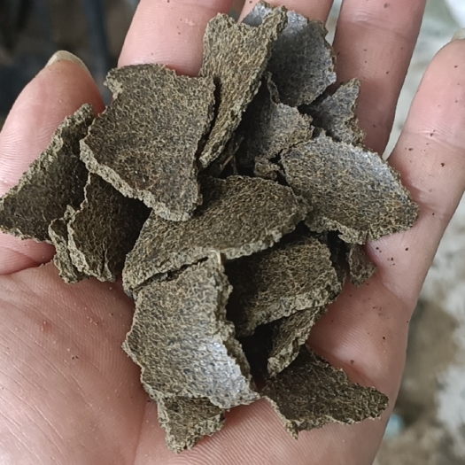 唐河县二级菜饼果树肥料蛋白31