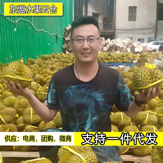 昆明泰国金枕榴莲供应电商直播微商一件代发