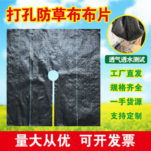 无棣县切片打孔防草布除草布盖草抑草遮草布透气透水抗老化果树园艺地布