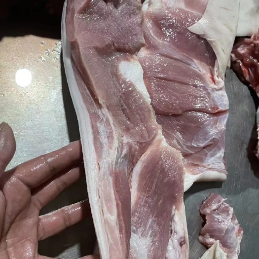 后上肉条大厂新货新开检疫