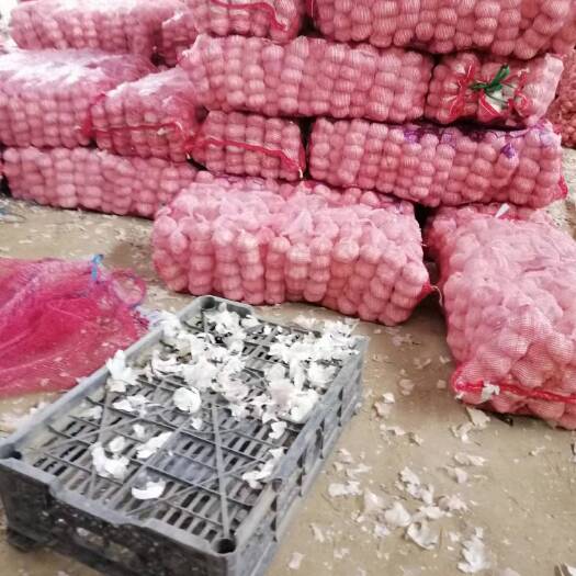 中牟县中牟大蒜