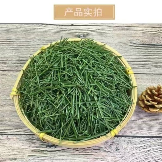 松针茶 自然生长松针天然绿色（鲜)