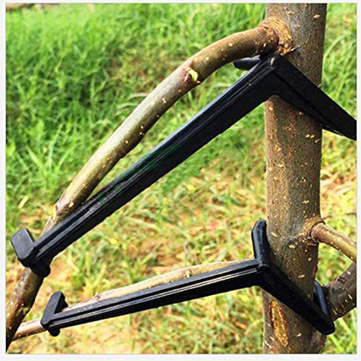 济南新型果树拉枝器别枝器压枝器 园林果树常用定型器