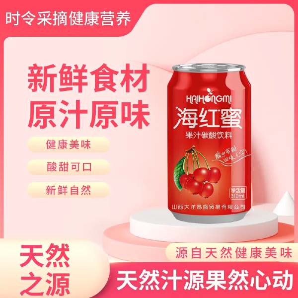 海红蜜果汁310ML*20罐酸甜可口碳酸饮料山西特产花青素