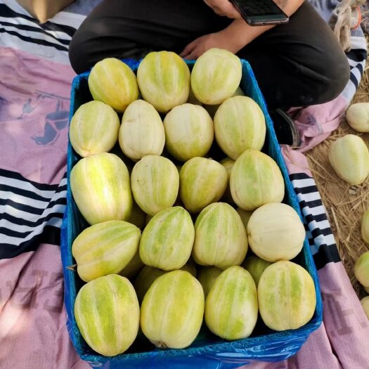 忻州甜瓜