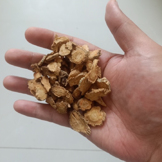 包头新货内蒙古草原北防风干精选防风中草防风片