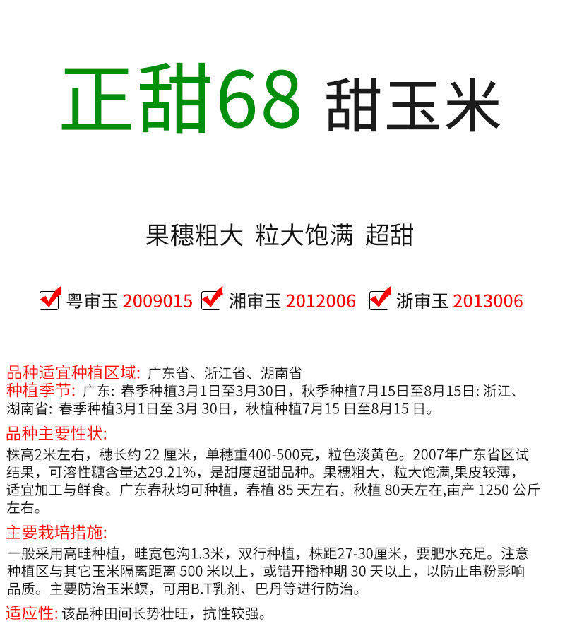 广东农科院正甜68超甜水果玉米种孑特大高产玉米种子甜玉米种籽