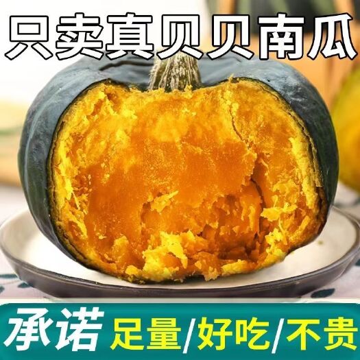 板栗贝贝南瓜小南瓜香甜宝宝辅食新鲜蔬菜整箱5/10斤