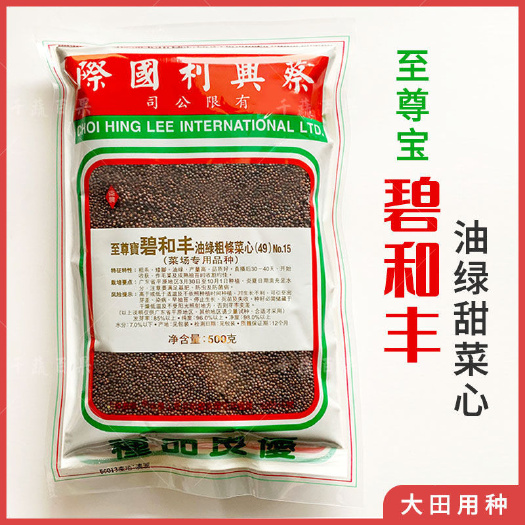蔡兴利碧和丰油青甜菜心种子四九碧绿油菜心种籽大田高产蔬菜种孑