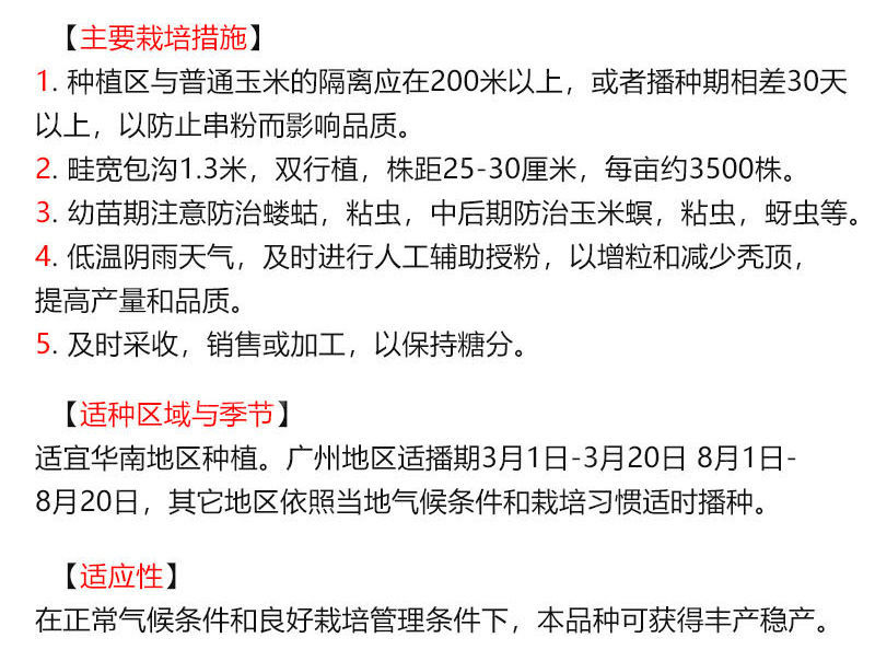 超甜金银栗2号玉米种籽四季特大水果甜玉米种孑省农科院种子