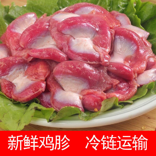 活体现杀鸡胗新鲜冷冻鸡胗鸡胃鸡肫火锅烧烤食材