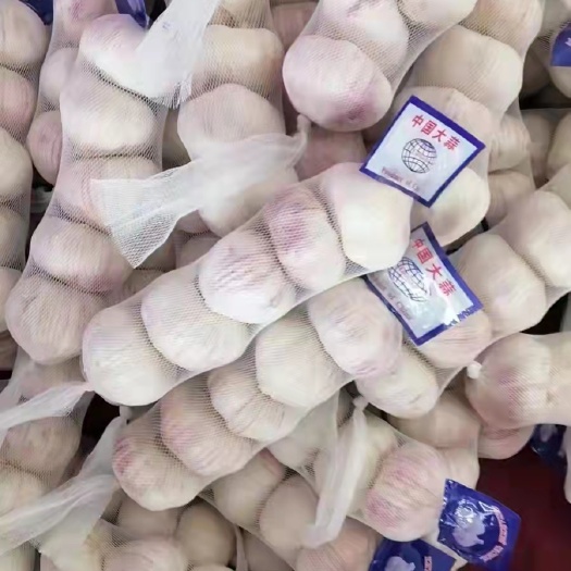邳州市邳州精品红蒜，货源充足，常年供应国内外市场加工，