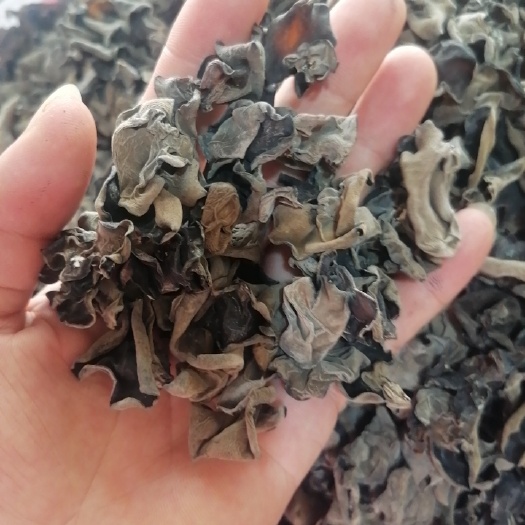 东北黑木耳 ≥1.2mm 干货 特级