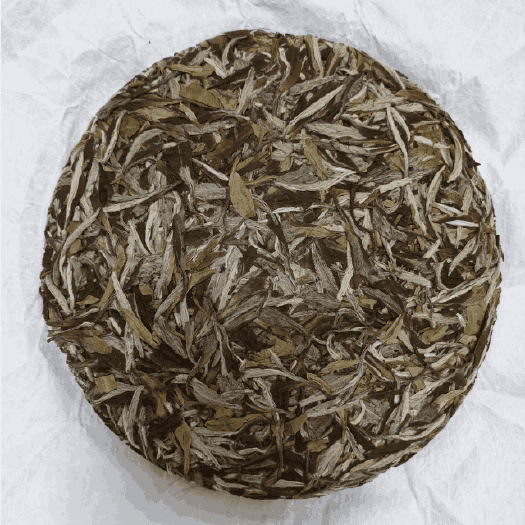 南宁牡丹王（2018年牡丹）福鼎白茶
