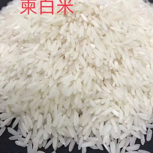 深圳柬埔寨白米