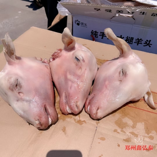 郑州生羊光头，纯白干净，2到3斤的，屠宰场直供，量大从优