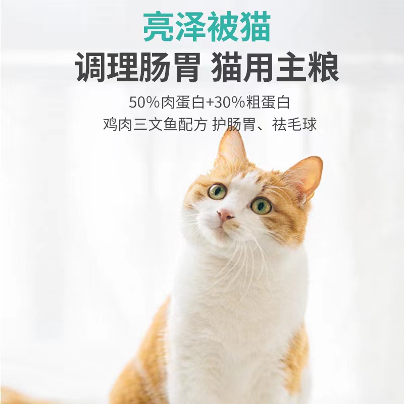 滕州市宠物饲料 全价全期通用猫粮 科学营养配比 美毛增肥促进骨骼发