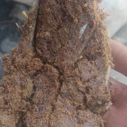 枣庄骨粉