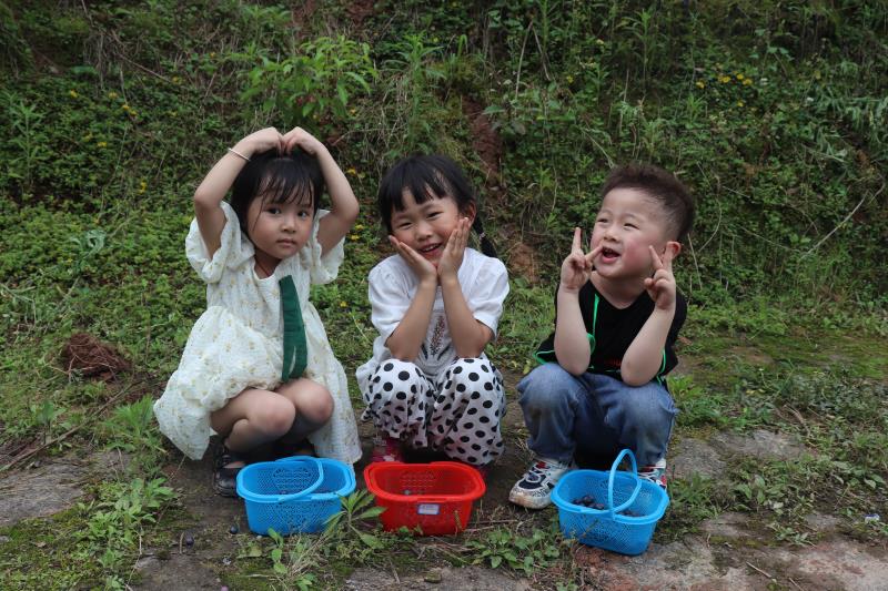 现采现发自营基地新鲜蓝莓现货爆浆多汁护眼绿宝石老人小孩