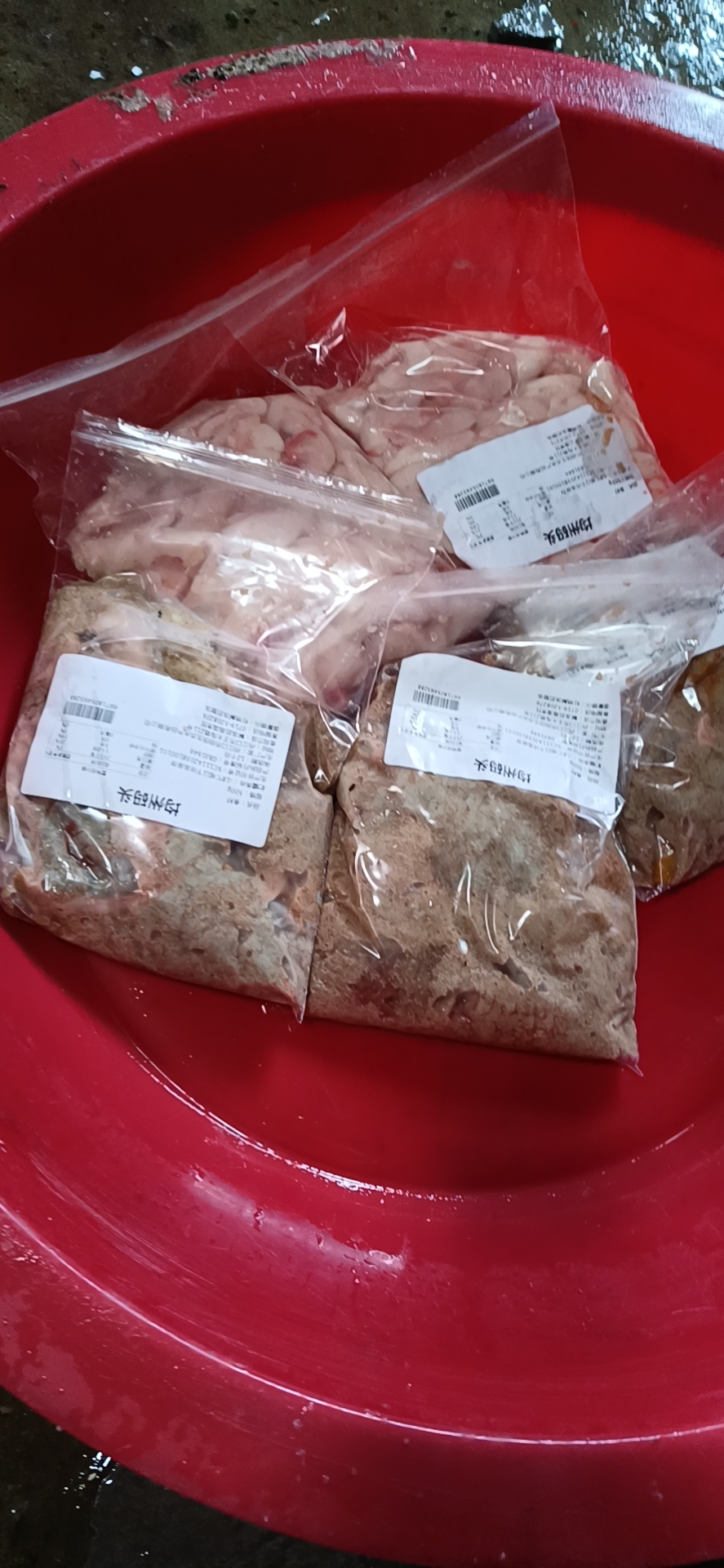 鱼籽