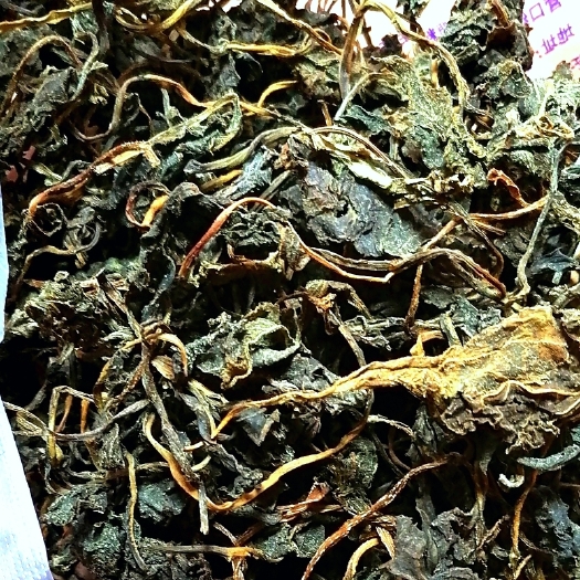 沈阳东北东风菜干山野菜山蛤芦大耳毛中钻山狗白云草疙瘩药草药植物