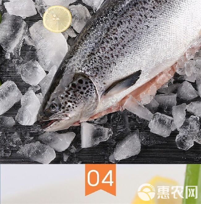 三文鱼中段刺身即食生鱼片冰鲜整条鲑鱼现切去刺海鲜新疆三文鱼