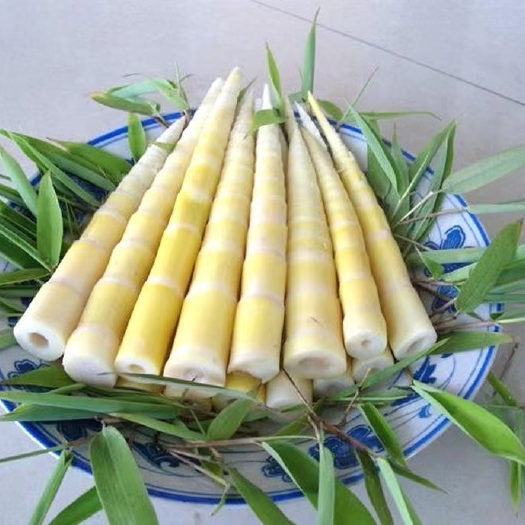 洪雅县笋尖