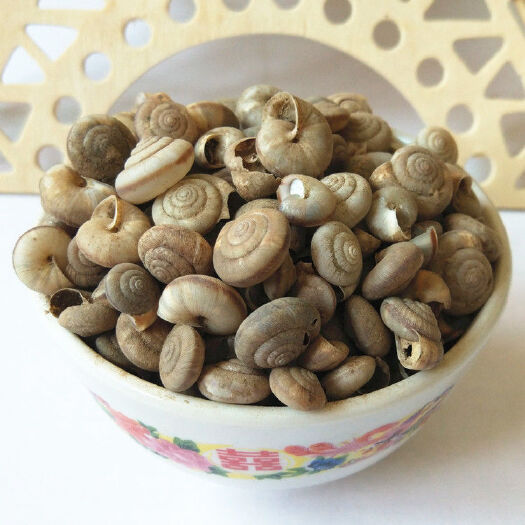 固阳县中药材旱蜗牛壳 别名 白螺蛳壳 白螺蛳 旱蜗牛 瓜牛里牛