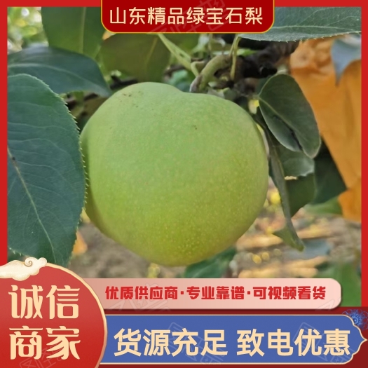 冠县绿宝石梨大量供应商超市场社区团购电商一件代发
