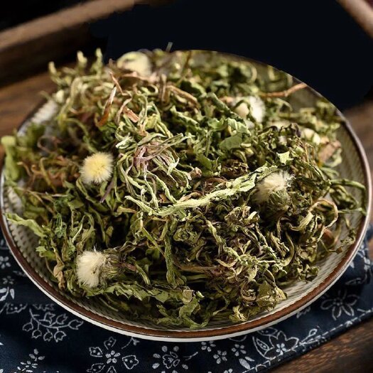 包头内蒙草原蒲公英全草蒲公英茶干货全草