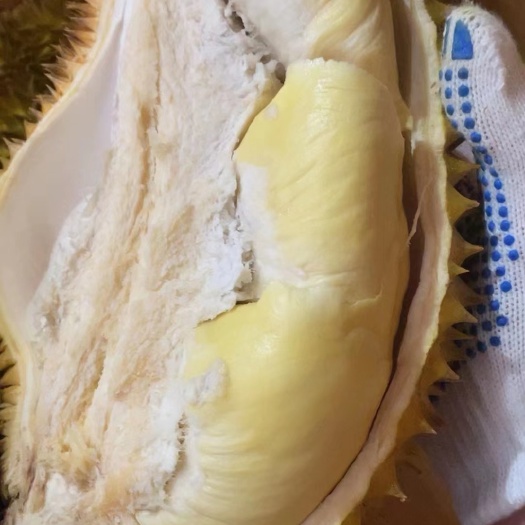 济南泰国金枕榴莲