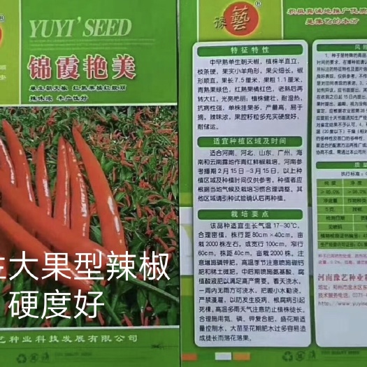 扶沟县锦霞艳美单生朝天椒种子大果型果尖细长粗1.1厘米硬度好抗