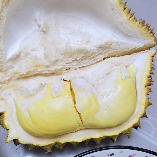 济南泰国巴掌榴莲