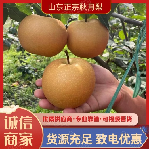 冠县山东秋月梨对接《电商》社区团购《支持一件代发》整车发货
