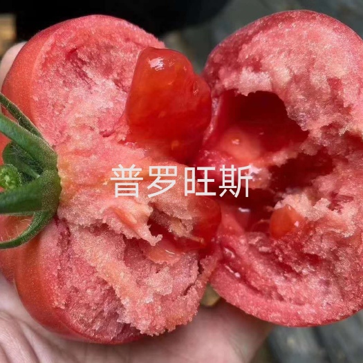 普罗旺斯西红柿苗，口感好，沙瓤