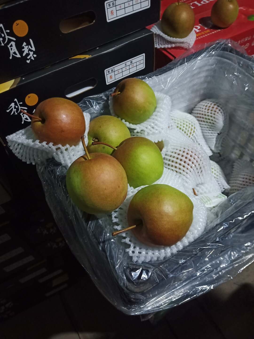 雨露香梨 大量上市  皮薄  脆甜  汁水丰富 货源充足