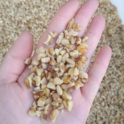 赞皇县白四路核桃仁，颜色好品质优！烘培佳品！