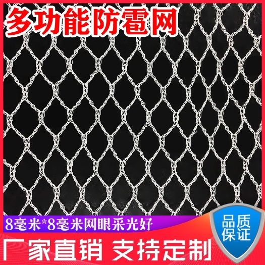 无棣县厂家直销防雹网 防鸟网 农用网 果园防护网