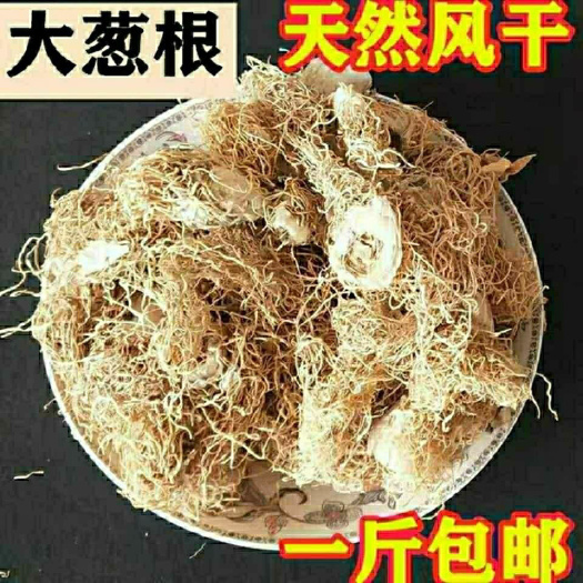 内蒙草原大葱根天然纯葱根大葱根须新鲜干货大葱根