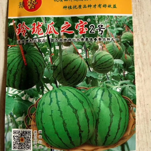 扶沟县越梦想西瓜种子  玲珑瓜之宝2号西瓜种子~早熟正圆型单瓜