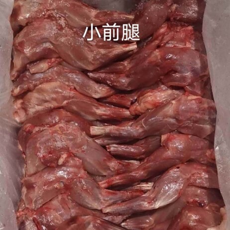 供应新鲜兔前腿小腿小前腿烤烤卤用
