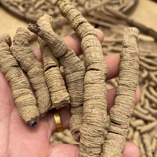德庆县特大巴戟抽肉
