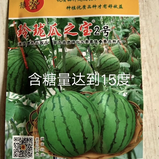 扶沟县玲珑瓜之宝2号小礼品西瓜种子早熟皮薄而硬韧不裂果囗感好